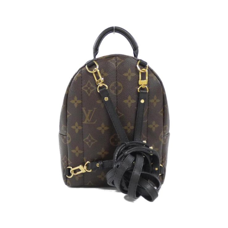 Louis Vuitton Palm Springs