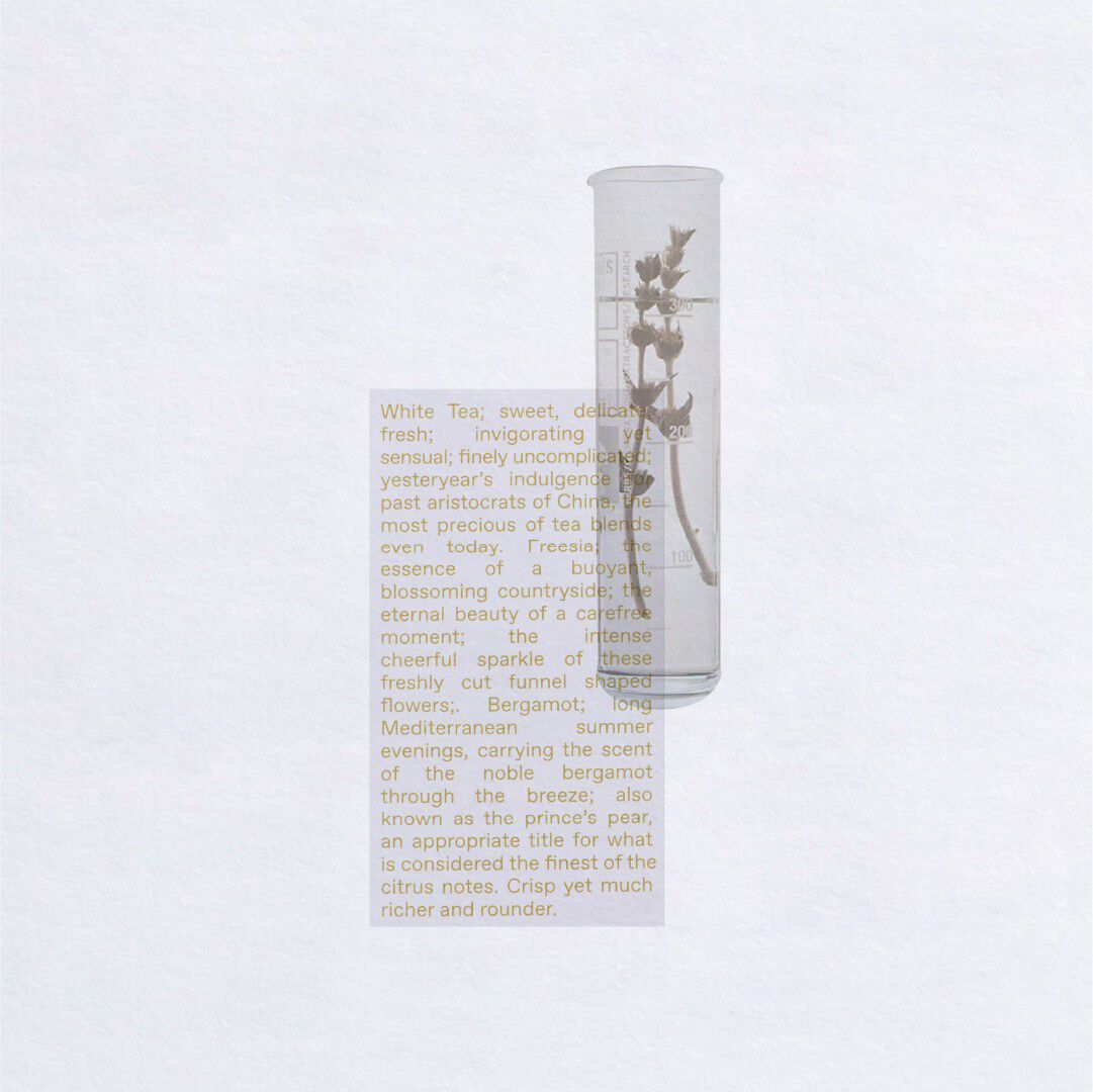 White Tea Eau De Toilette