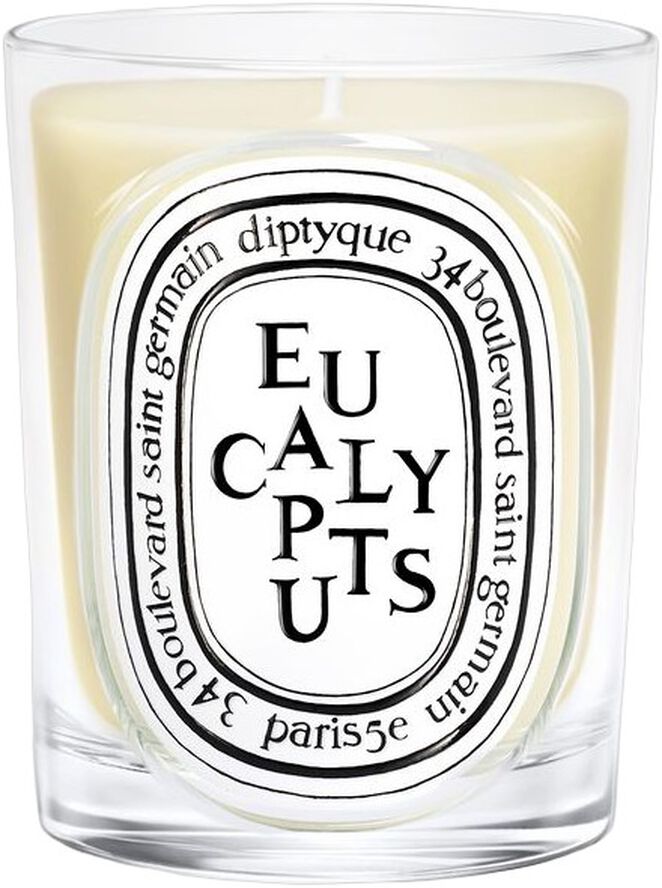 Eucalyptus Classic candle 190g/6. 7oz