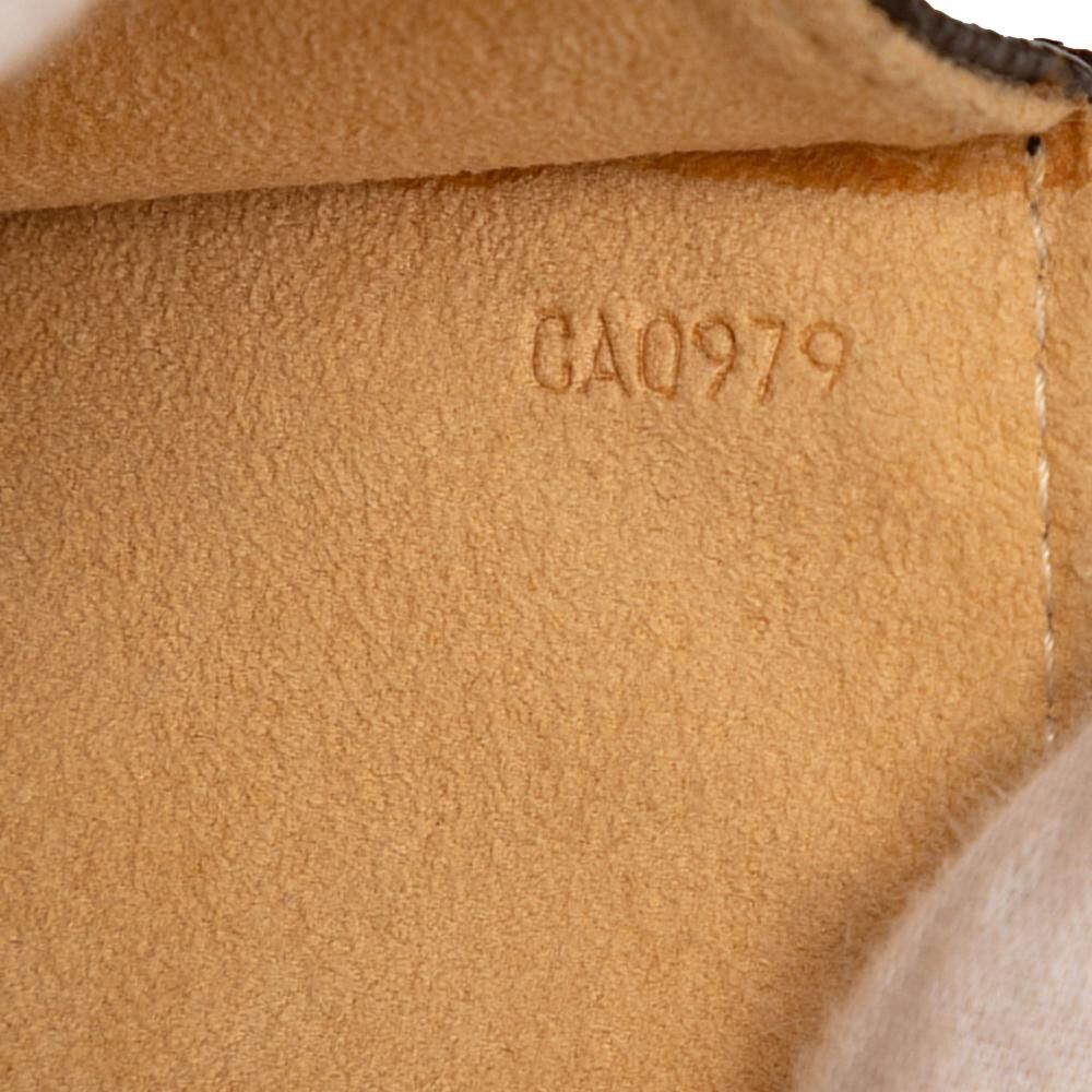 Louis Vuitton Twin Pochette
