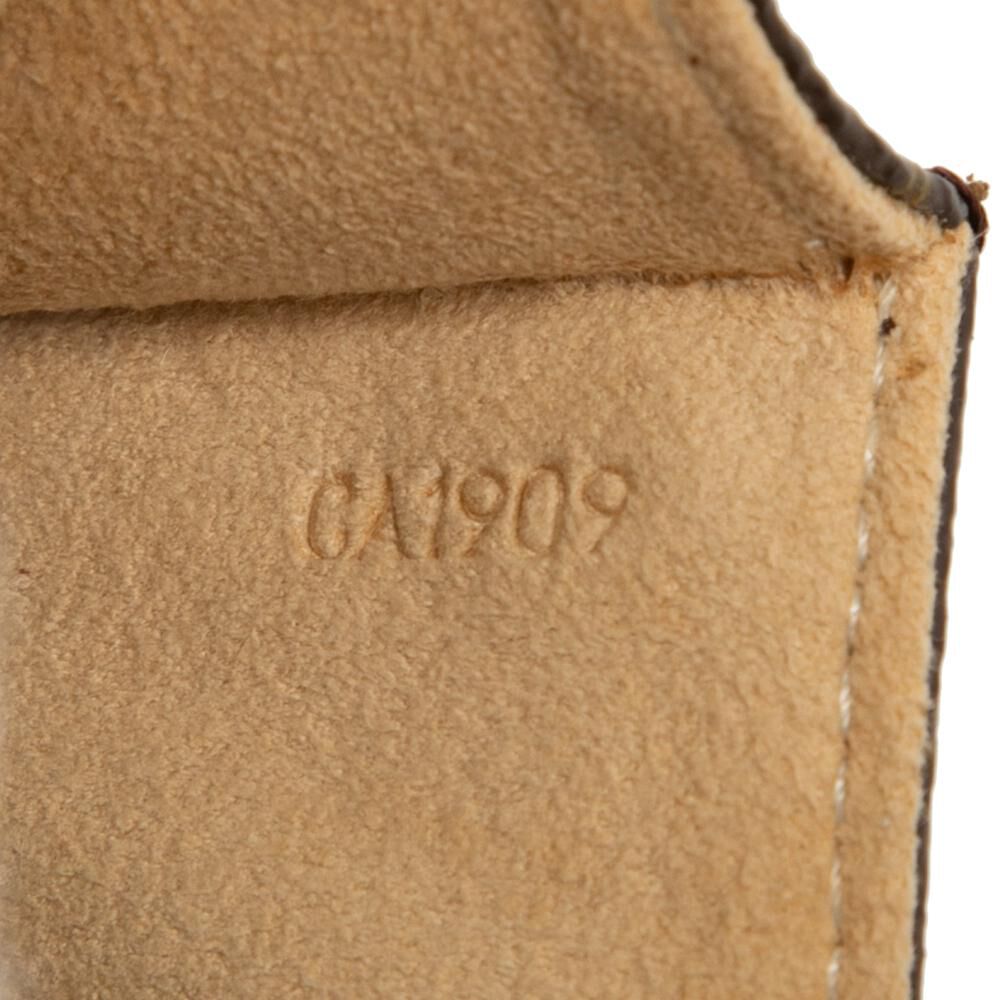 Louis Vuitton Twin Pochette