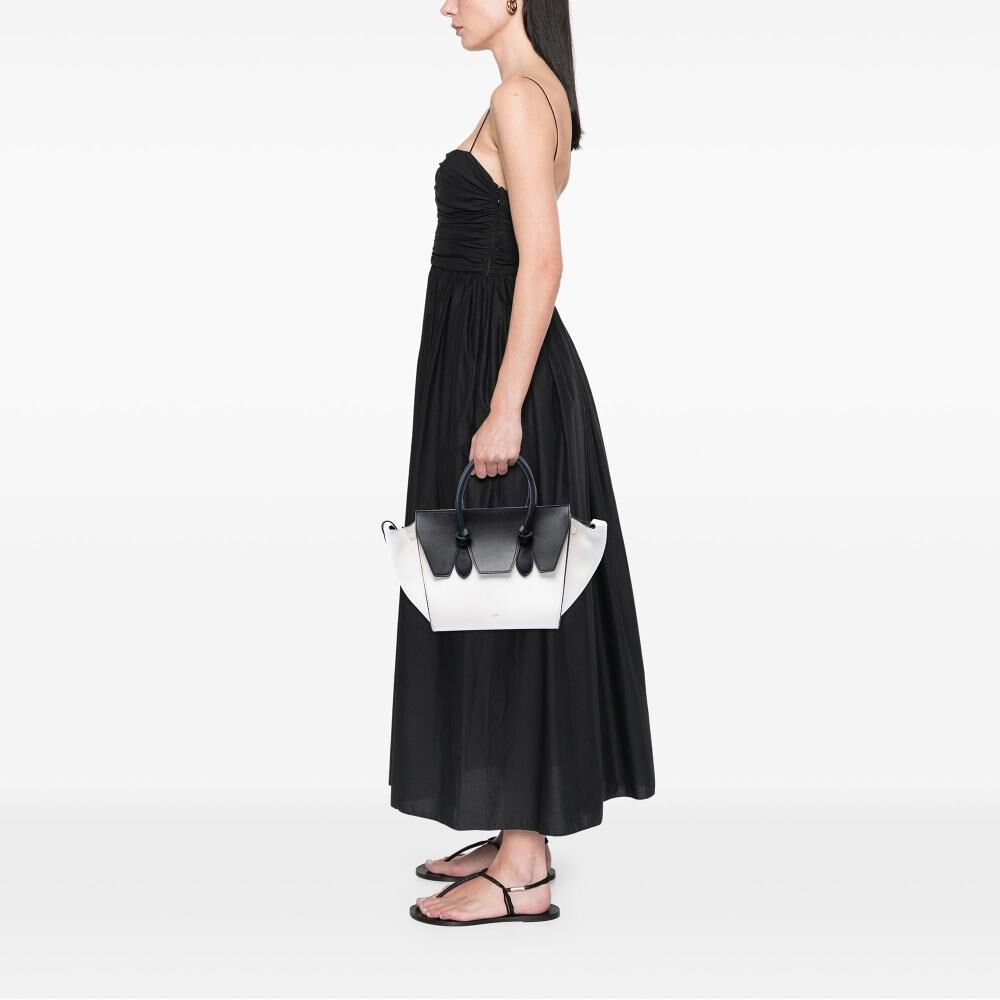 Celine Tote