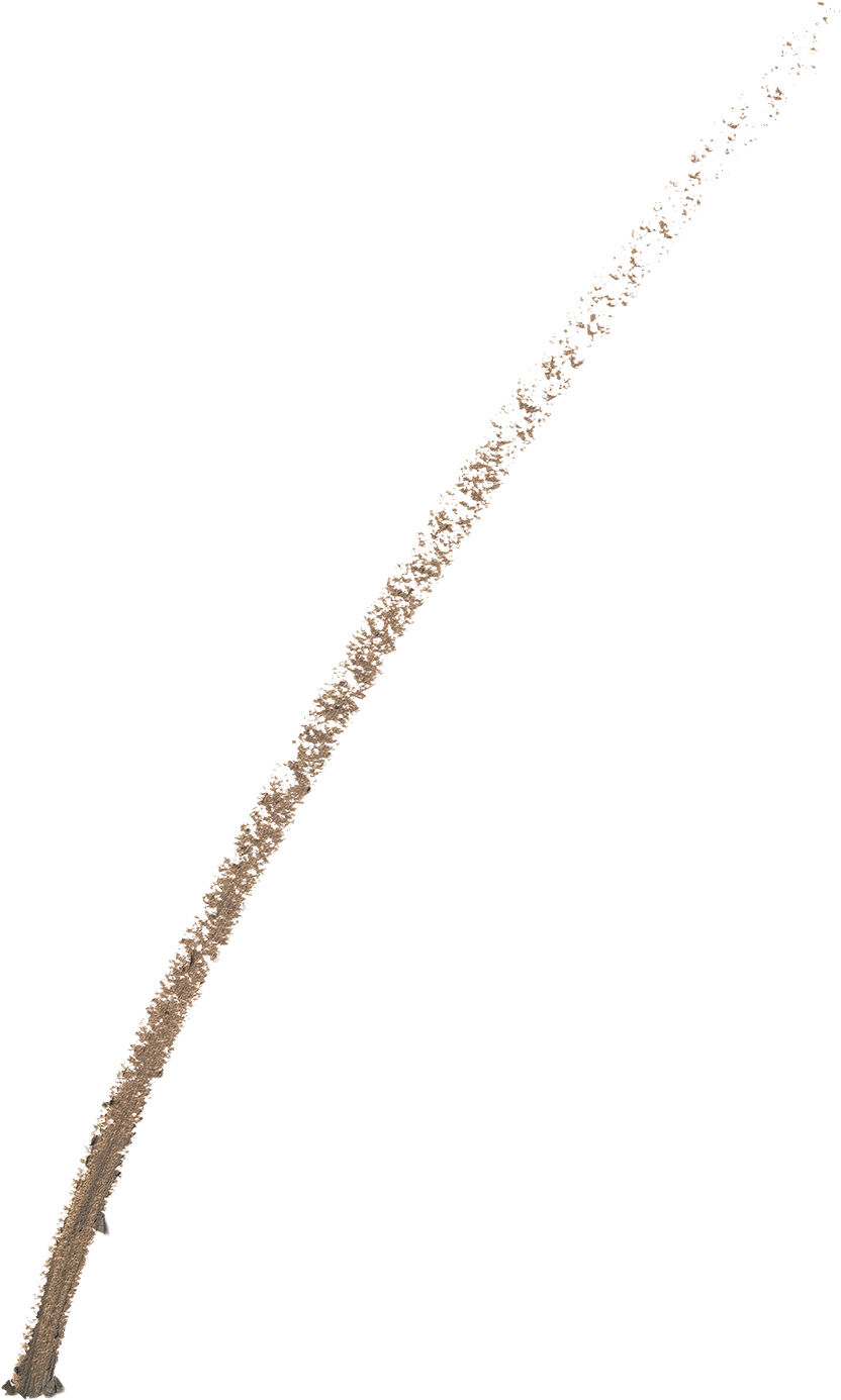 Brow Now Brow Defining Pencil