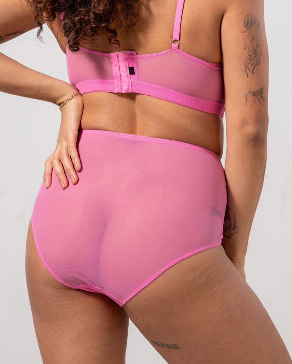 Mesh Highwaist Briefs