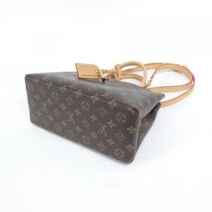Louis Vuitton Petit Palais