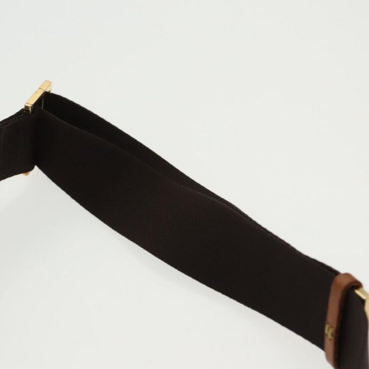 Louis Vuitton Belt Bags