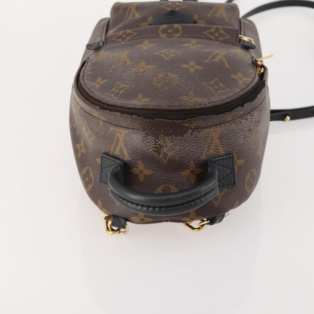 Louis Vuitton Palm Springs