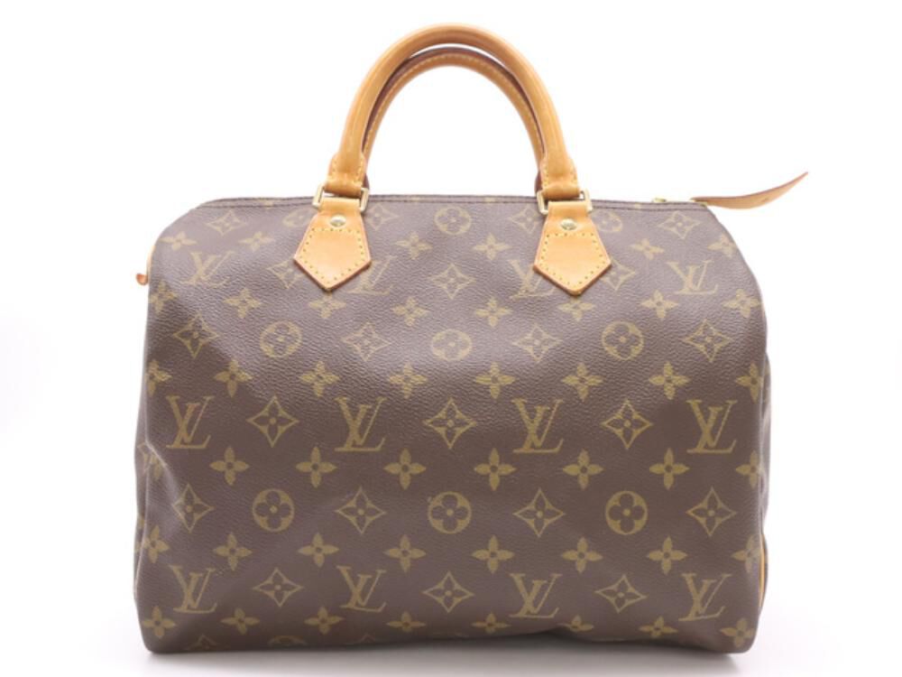 Louis Vuitton Handbag