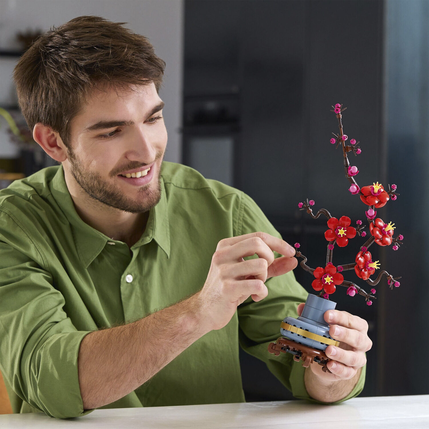 Japansk abrikostr&aelig; 10369