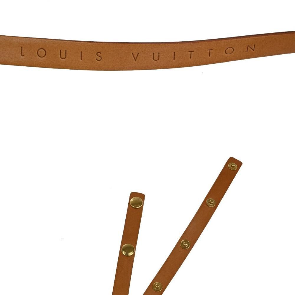 Louis Vuitton Florentine Pochette