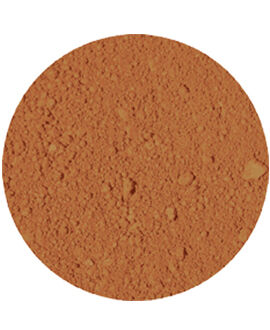 All Over Face Color Bronzer Faux