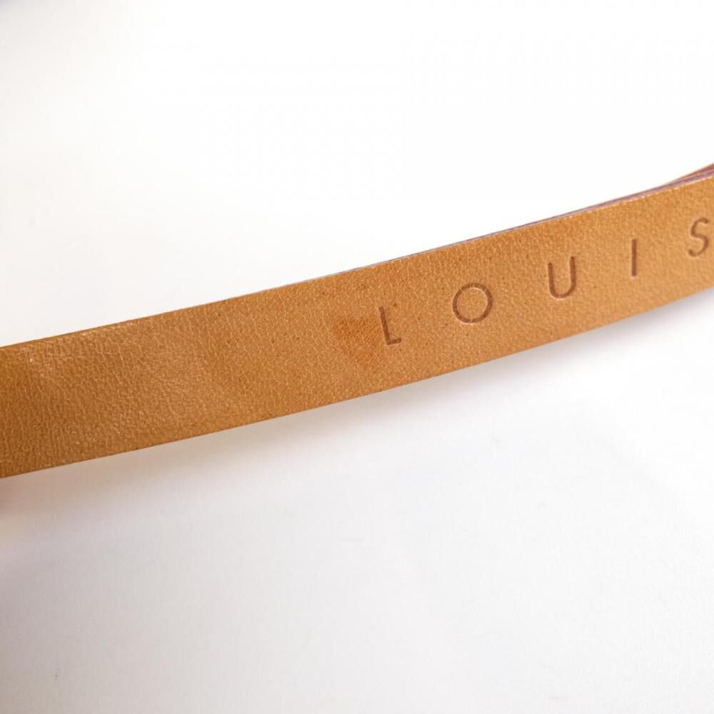 Louis Vuitton Florentine Pochette