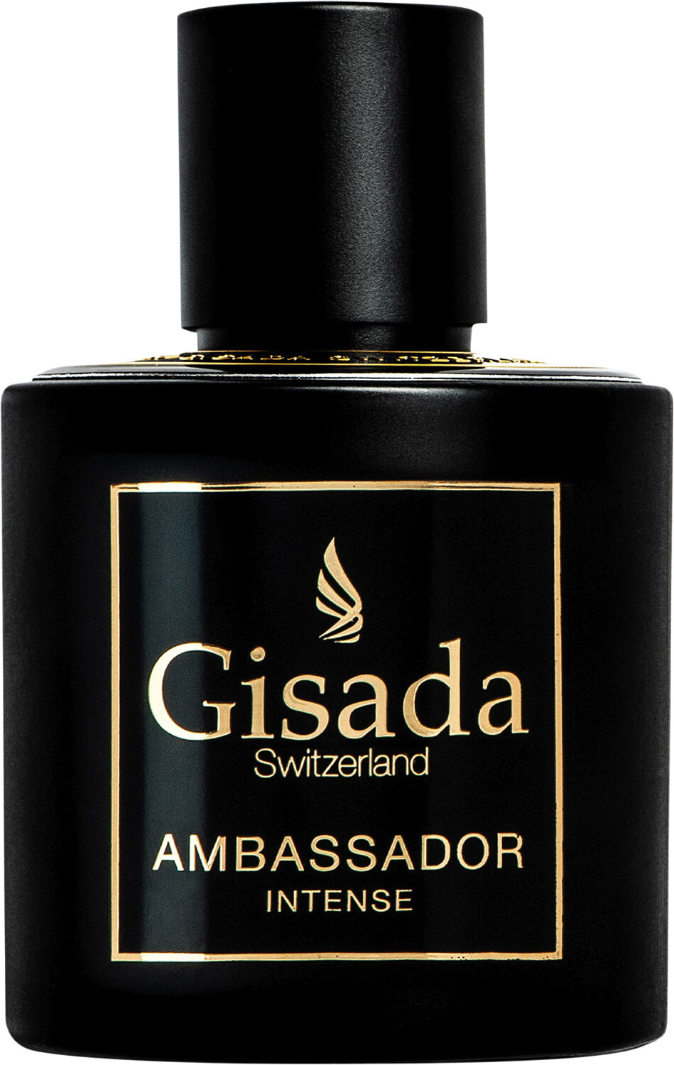 Ambassador Intense