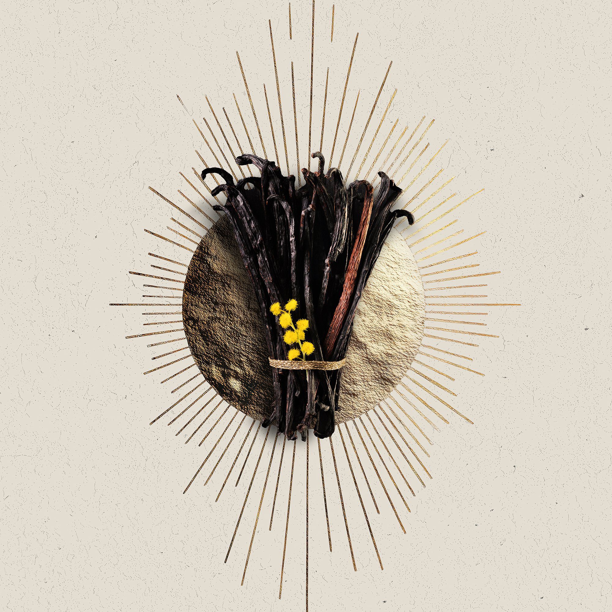 NOVAE VANILLA - EAU DE PARFUM 100ML