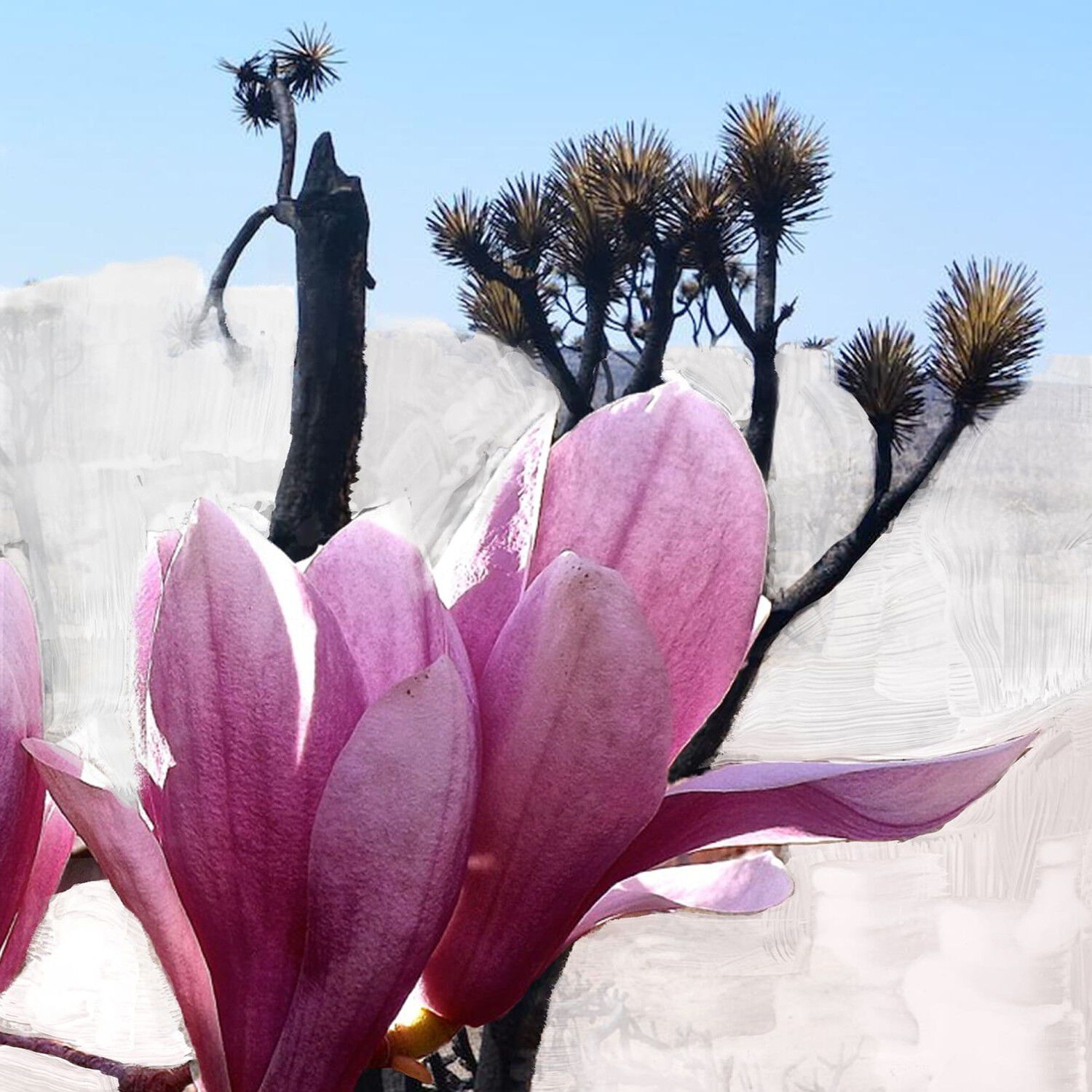 Byredo Mojave Ghost Gel Douche Body Wash 467 ml