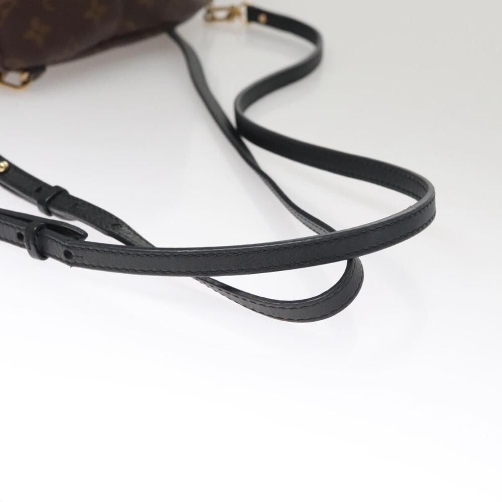 Louis Vuitton Palm Springs