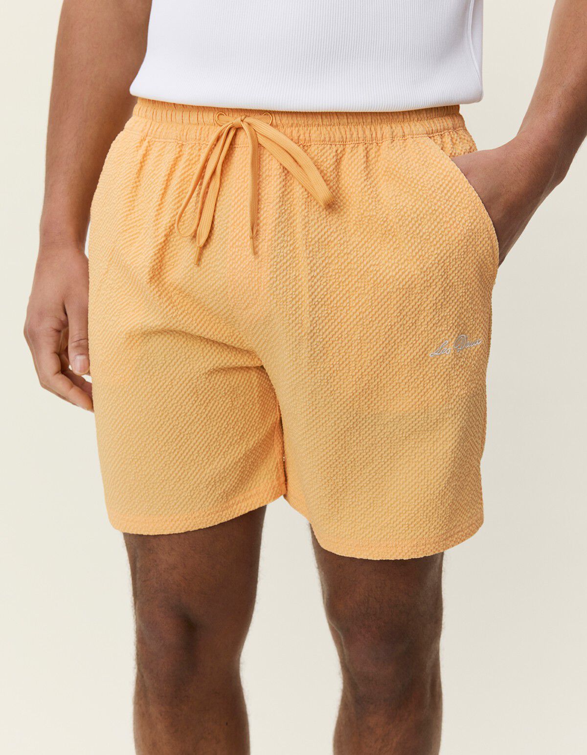 Seersucker Swim Shorts