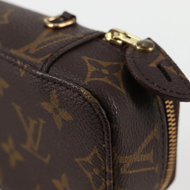 Louis Vuitton Pouch