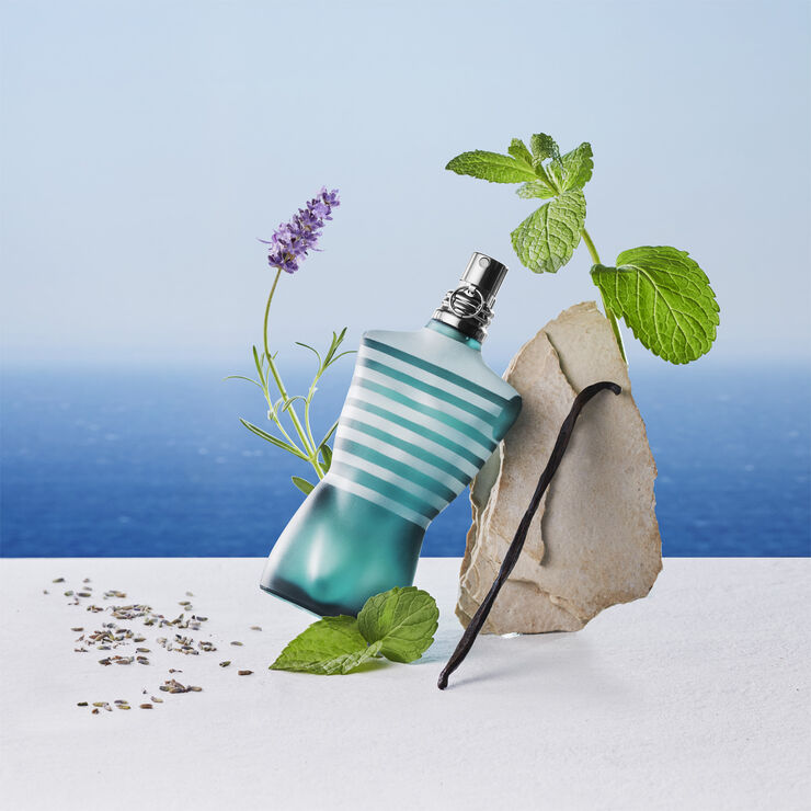 LeMale Deodorant Stick 75 g