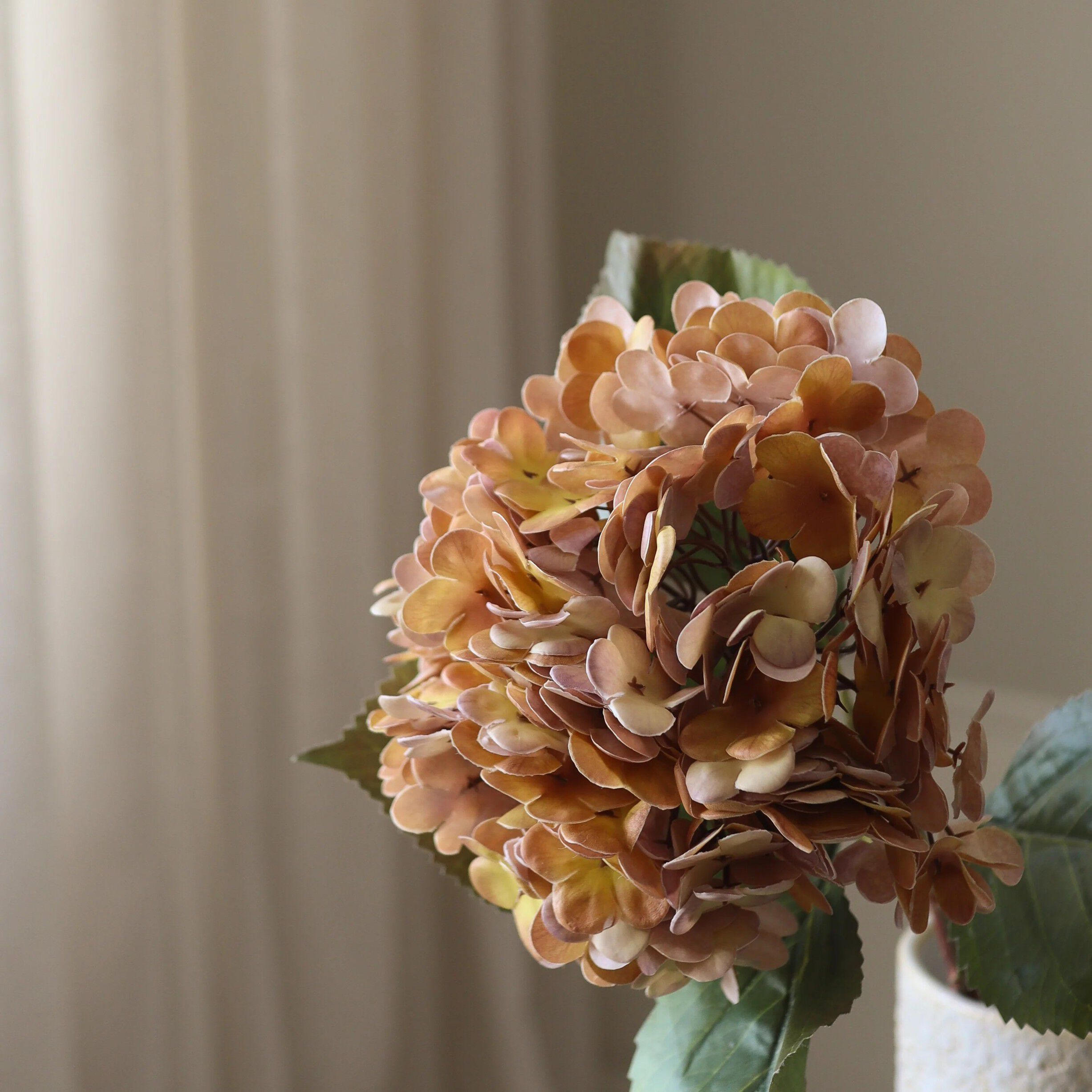 Hydrangea Flower