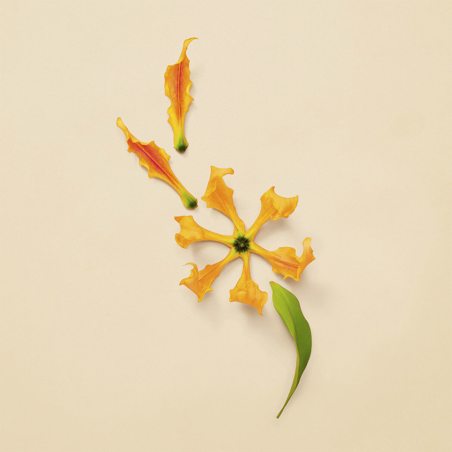 EDP Intense Eau de parfum