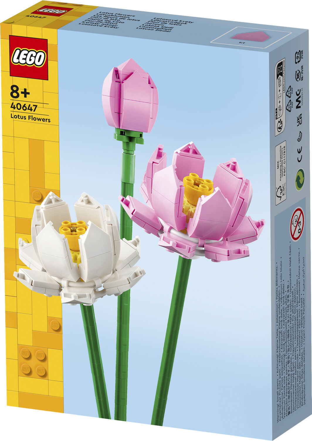 Lotusblomster 40647