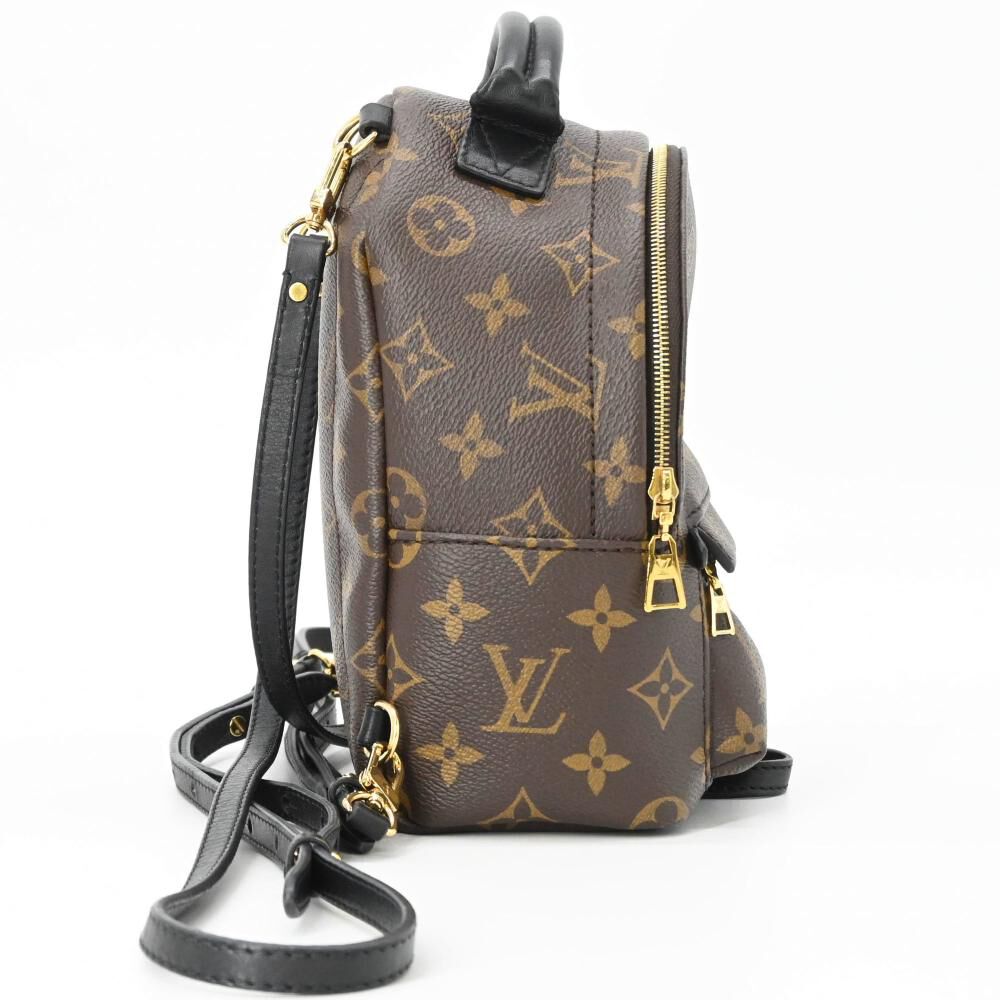 Louis Vuitton Palm Springs