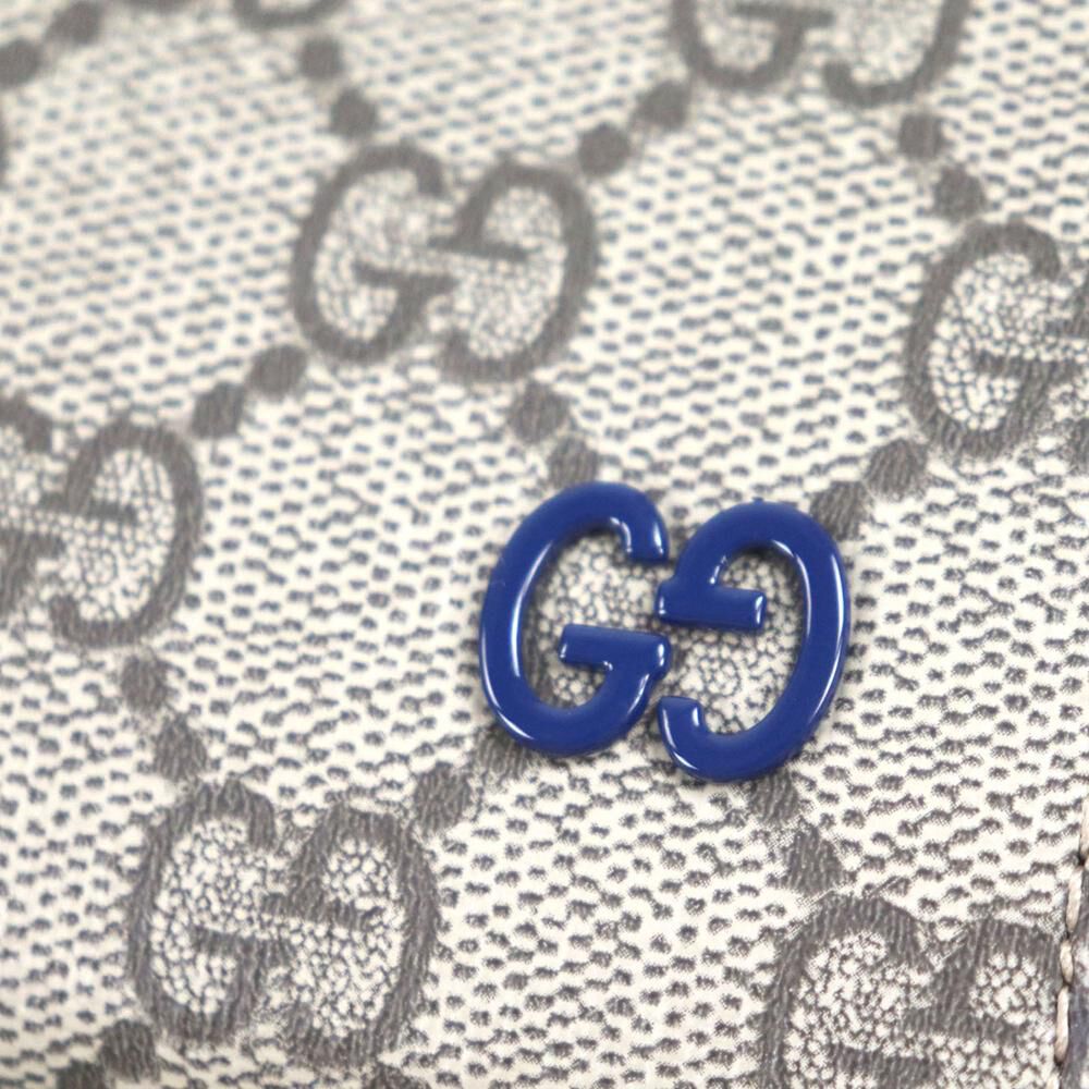 Gucci Pouch