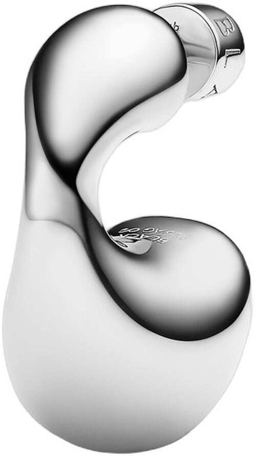 Dolphin Earring Small