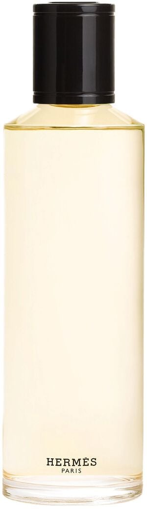 Terre D'herm&egrave;s Eau de Parfum Intense Refill 200ml
