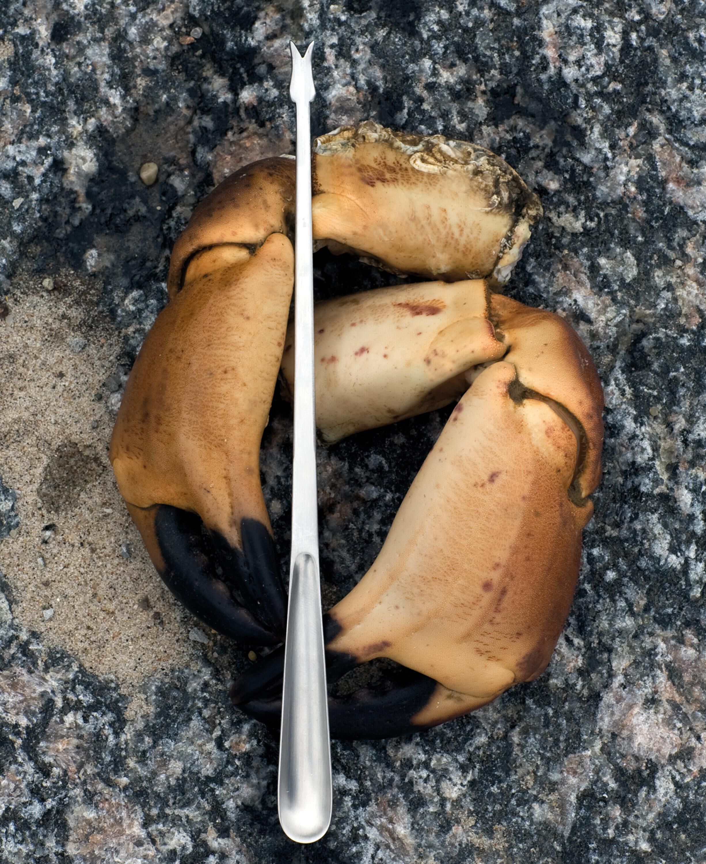 Grand Prix skaldjurs-/hummergaffel