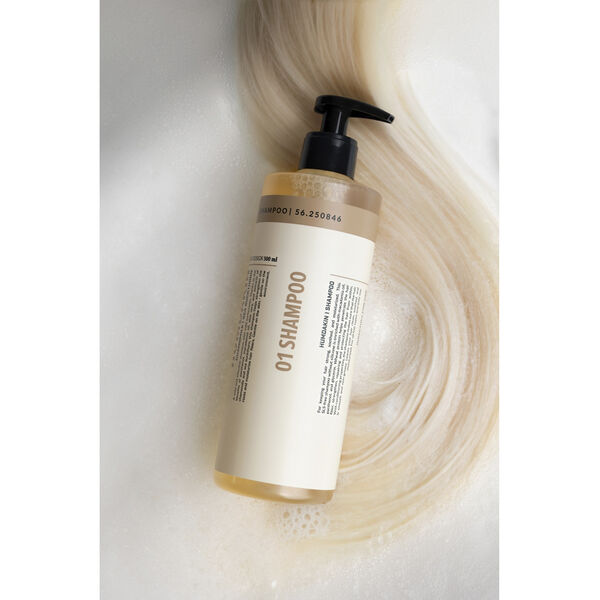 01 shampoo 500 ml - chamomile and sea buckthorn