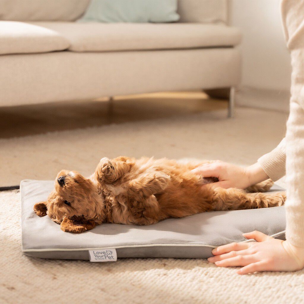 PetCare PP 210 Lilli V&auml;rmematta f&ouml;r husdjur 41x34 cm
