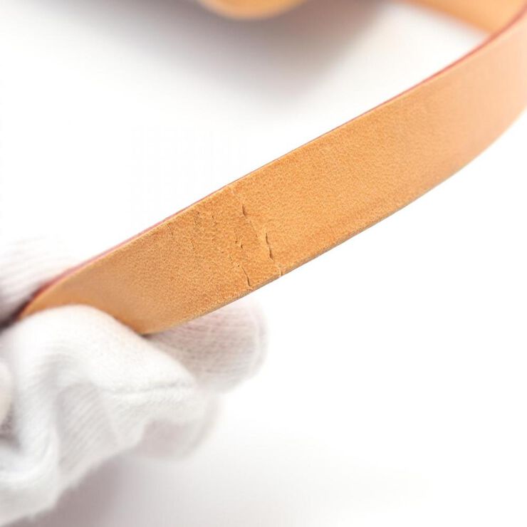 Louis Vuitton Florentine Pochette