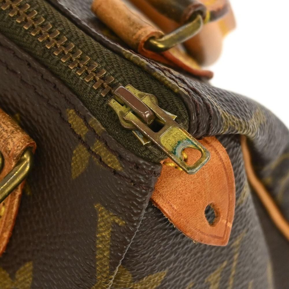 Louis Vuitton Handbag