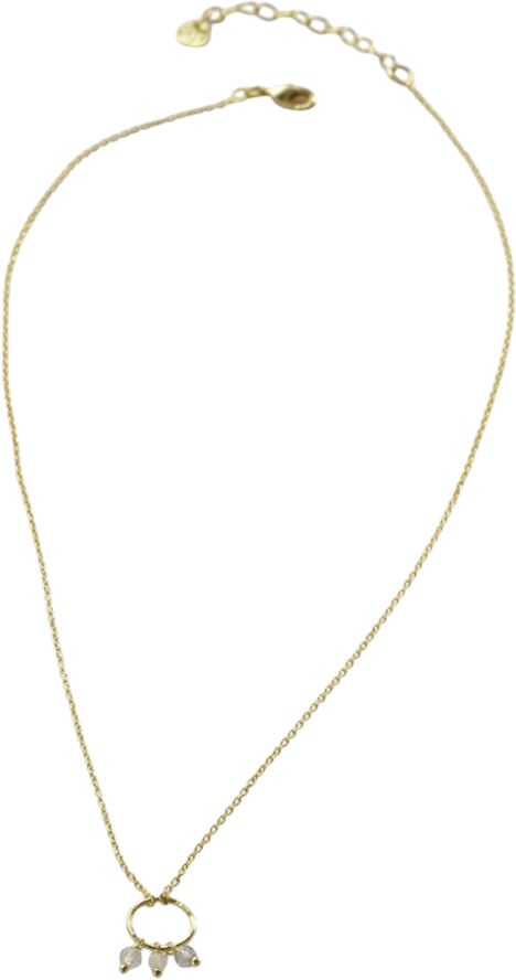 Sentiment Labradorite Moonstone Necklace GP