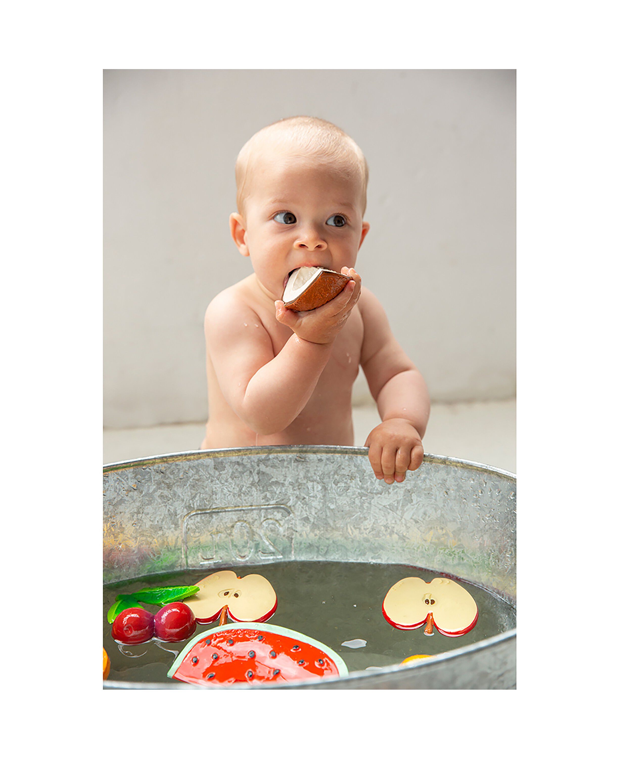 Oli & Carol - Bidering - Coco the Coconut