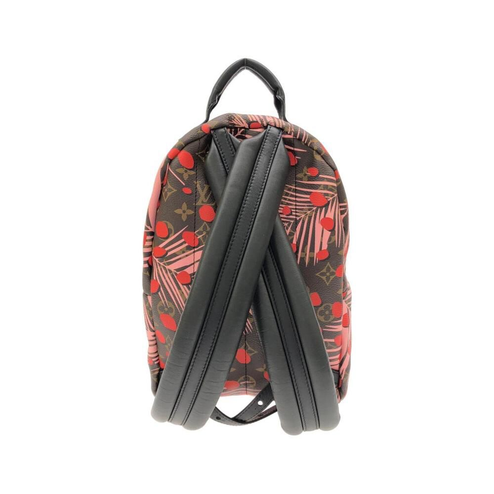Louis Vuitton Palm Springs