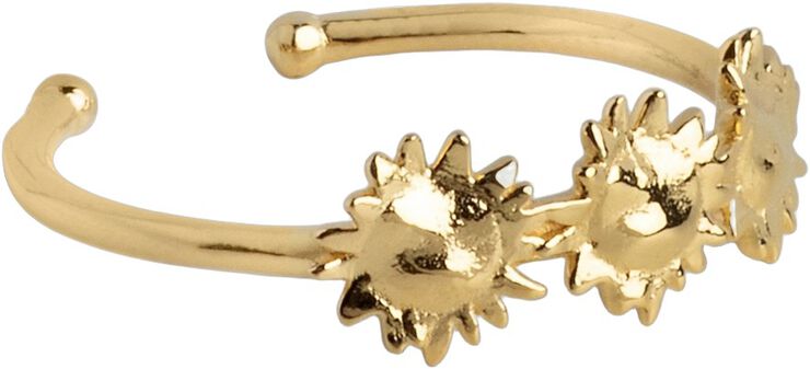 Ring, Sunshine Wreath