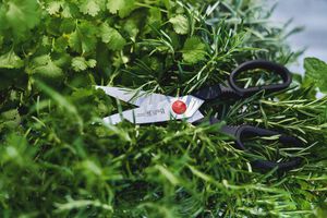 TWIN L 20 cm, Universalsax, Svart