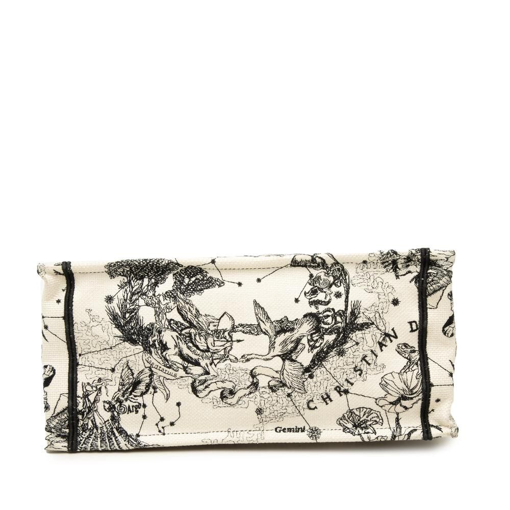 Dior Book Tote
