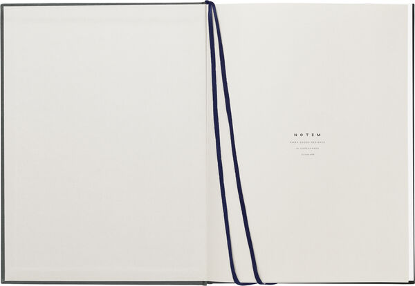 Business Notesbog med dagsplan og mødereferat, Grøn