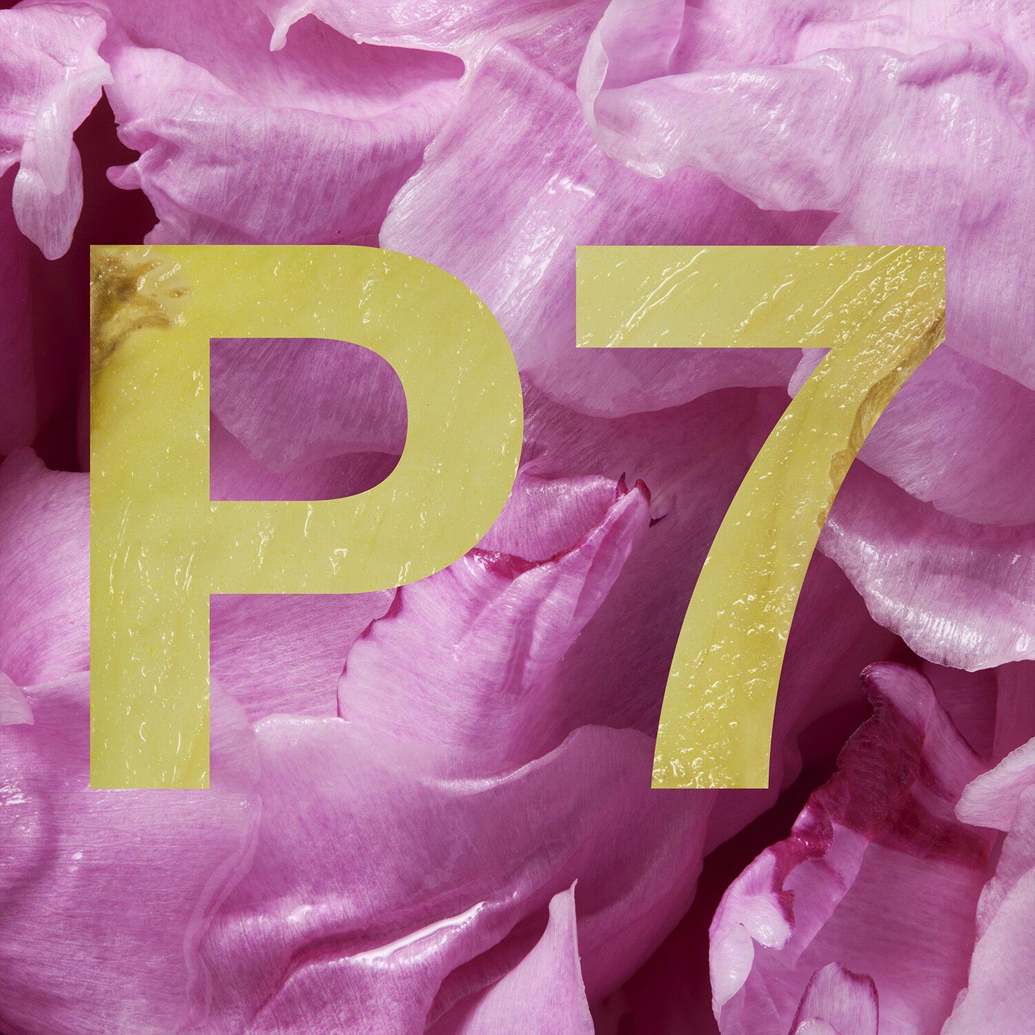Peony + Ginger Bath & Body Set? - Set med kroppsv&aring;rd