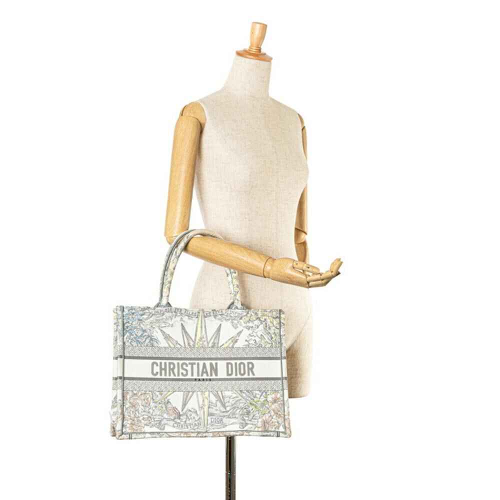 Dior Book Tote