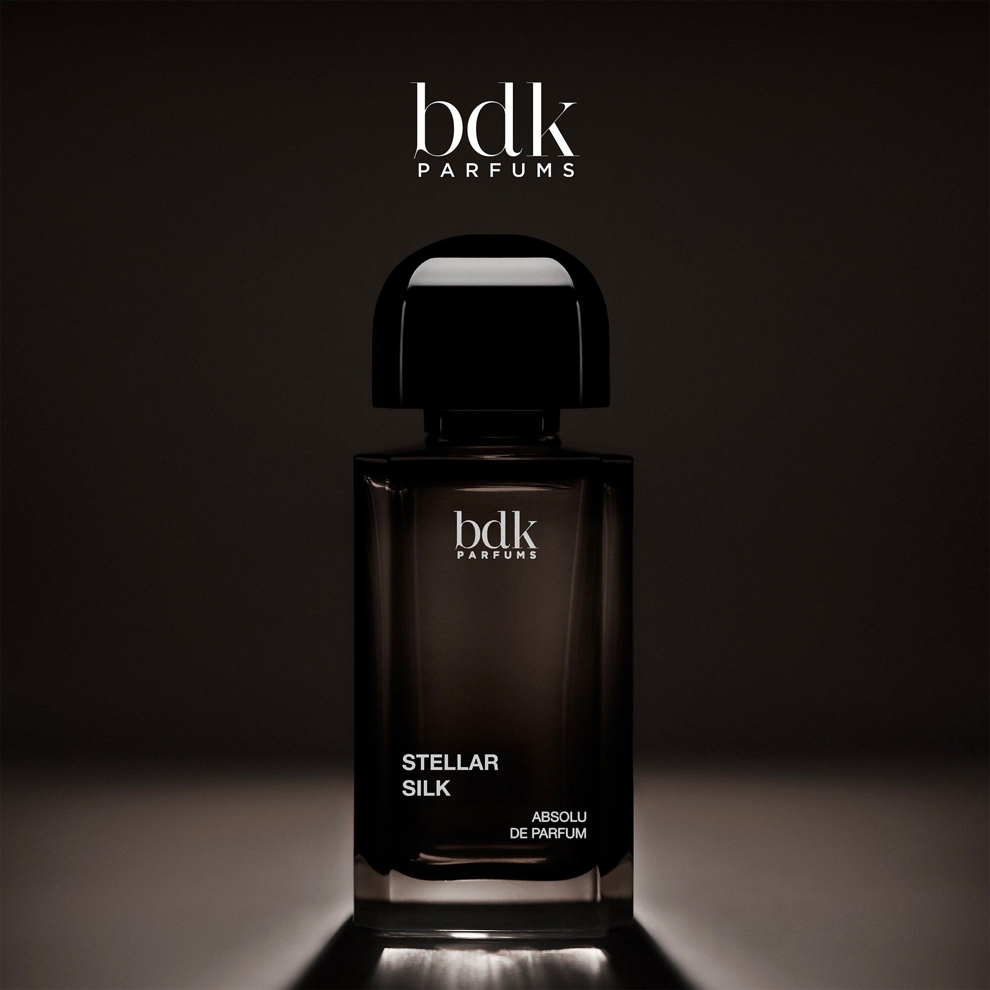 BDK STELLAR SILK 100 ML