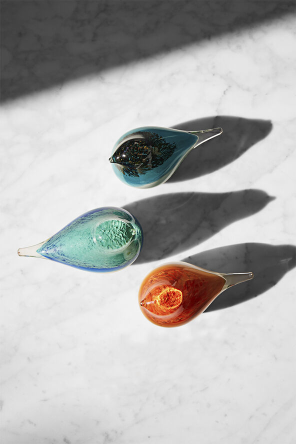 GLASS BIRD ATLAS BLACK/GREEN