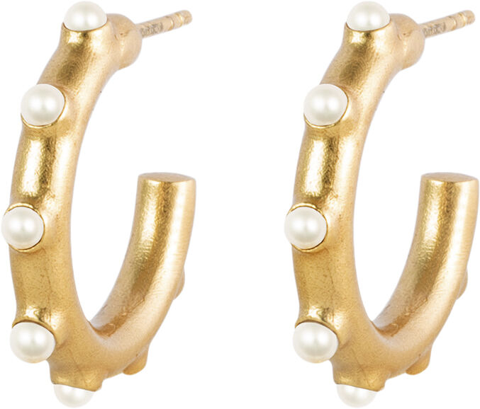 TRACE OF VENUS &Oslash;RERINGE