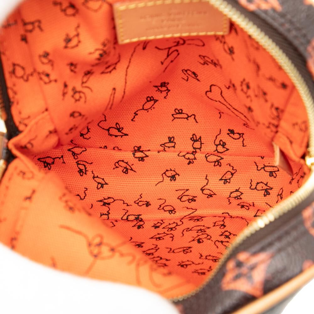 Louis Vuitton Crossbody Bag
