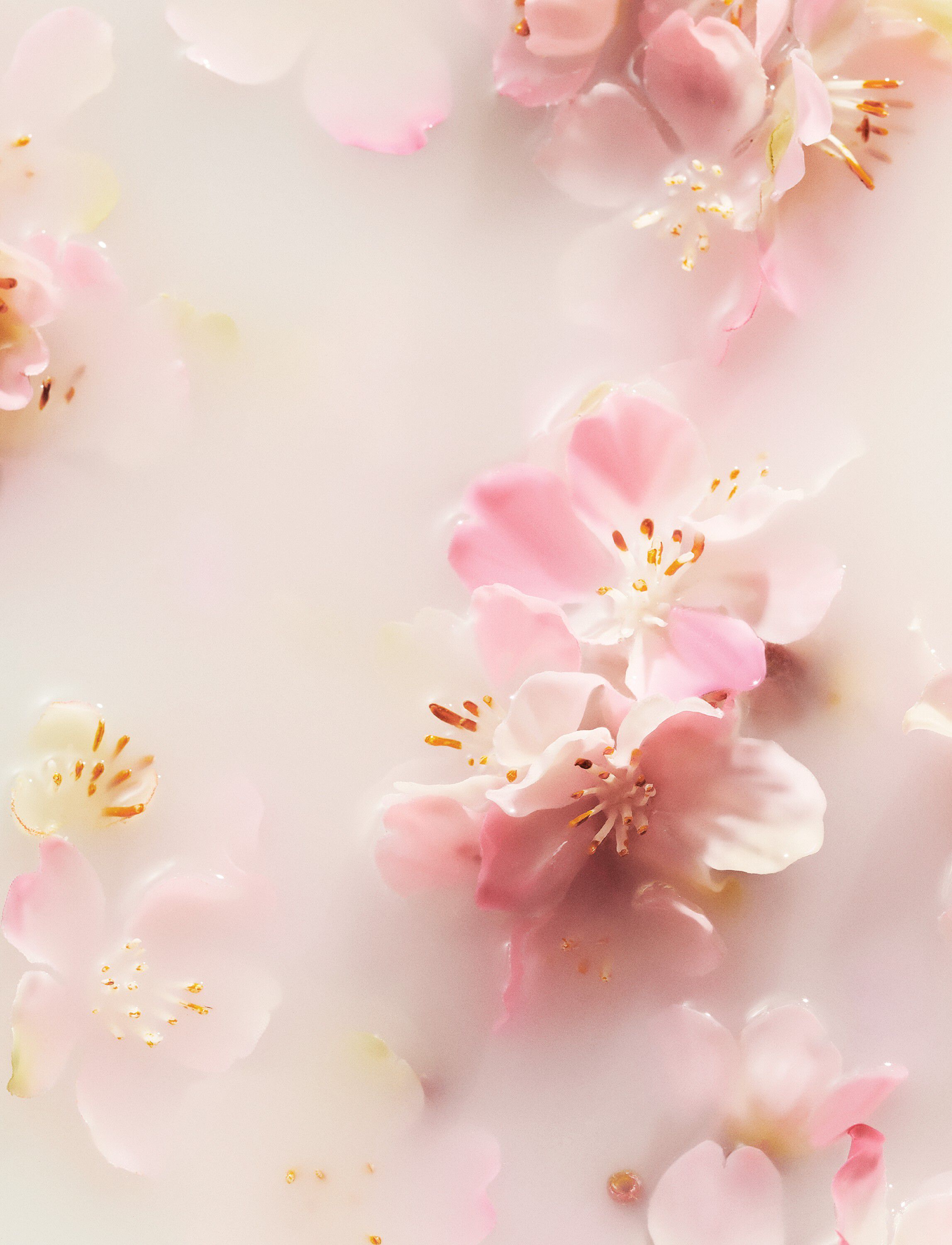 The Ritual of Sakura Hand Wash 300ml