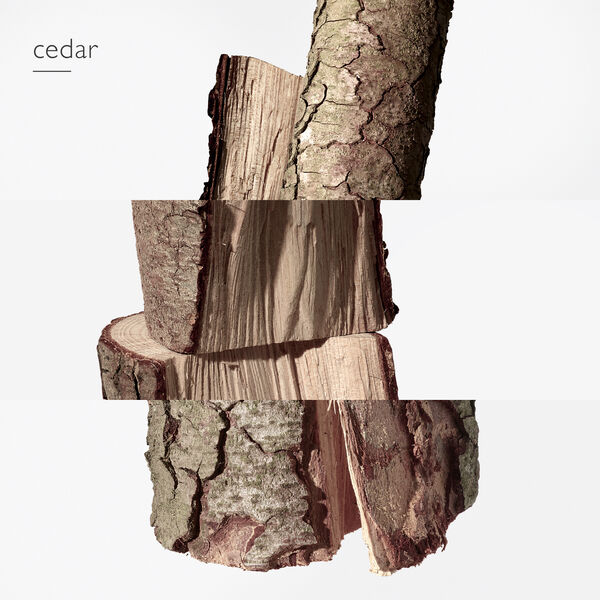 TERRE D'HERMÉS EAU DE TOILETTE